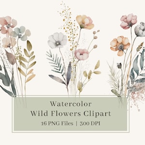 16 Aquarell Wildblumen Clipart, PNG, Blumen Clipart, Blumenstrauß Illustration, Wildblumen, Wandkunst, Hochzeit einladen, kommerzielle Nutzung