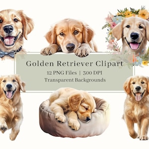 12 Golden Retriever clipart, PNG, aquarel puppy clipart bundel, Golden Retriever, huisdier, puppies, hond kunst, sublimatie, commercieel gebruik