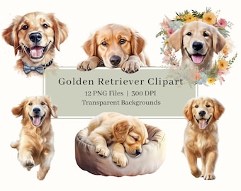 12 Golden Retriever Clipart, PNG, Watercolor Puppy Clipart Bundle, Golden Retriever, Pet, Puppies, Dog Art, Sublimation, Commercial Use