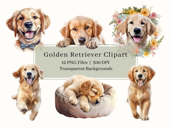 12 Golden Retriever Clipart, PNG, Watercolor Puppy Clipart Bundle, Golden  Retriever, Pet, Puppies, Dog Art, Sublimation, Commercial Use
