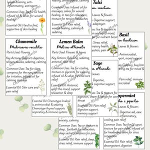 Flash-kaarten voor kruidenrecepten, 24 aromatische kruiden, met recepten