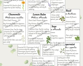 Printable Herbal Recipe Cards – 24 Aromatic Herbs with Uses & DIY Recipes