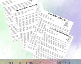 Beginner&#39;s Herbalism Guide