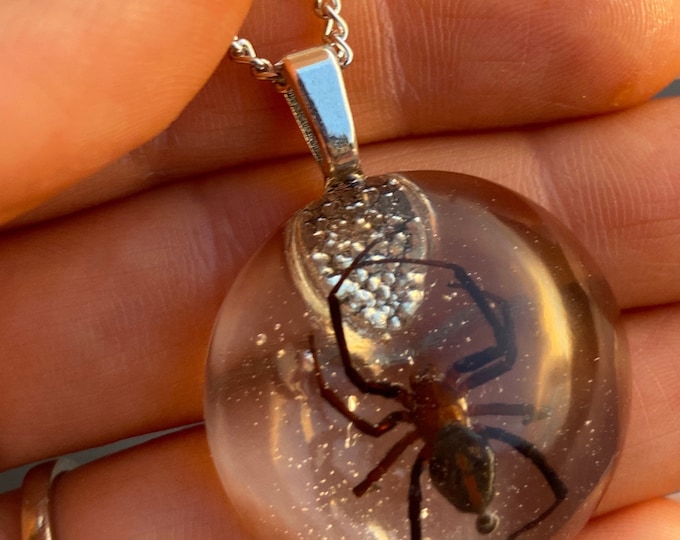 REAL Black Widow Spider Necklace Etsy