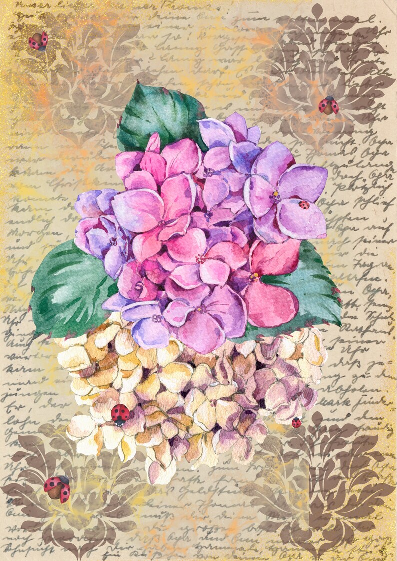 Printable Paper, Hydrangeas, Digital Download, Instant Download, Scrapbook Paper, Journal Paper ...