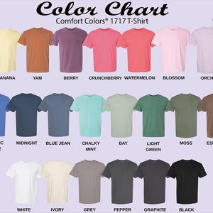 a color chart for a t - shirt with different colors