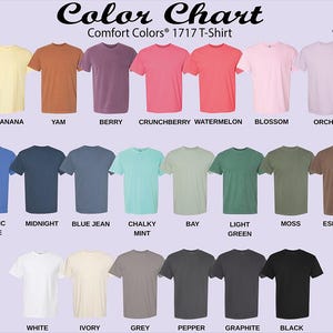 a color chart for a t - shirt with different colors