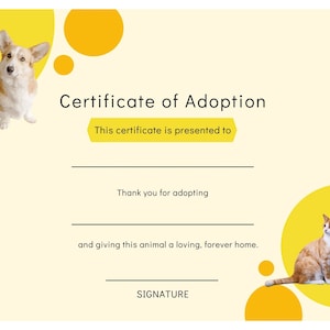 Pet Adoption Certificate, Cat, Dog, Kitten, Puppy Adoption Certificate, PDF, JPG, Printable Download