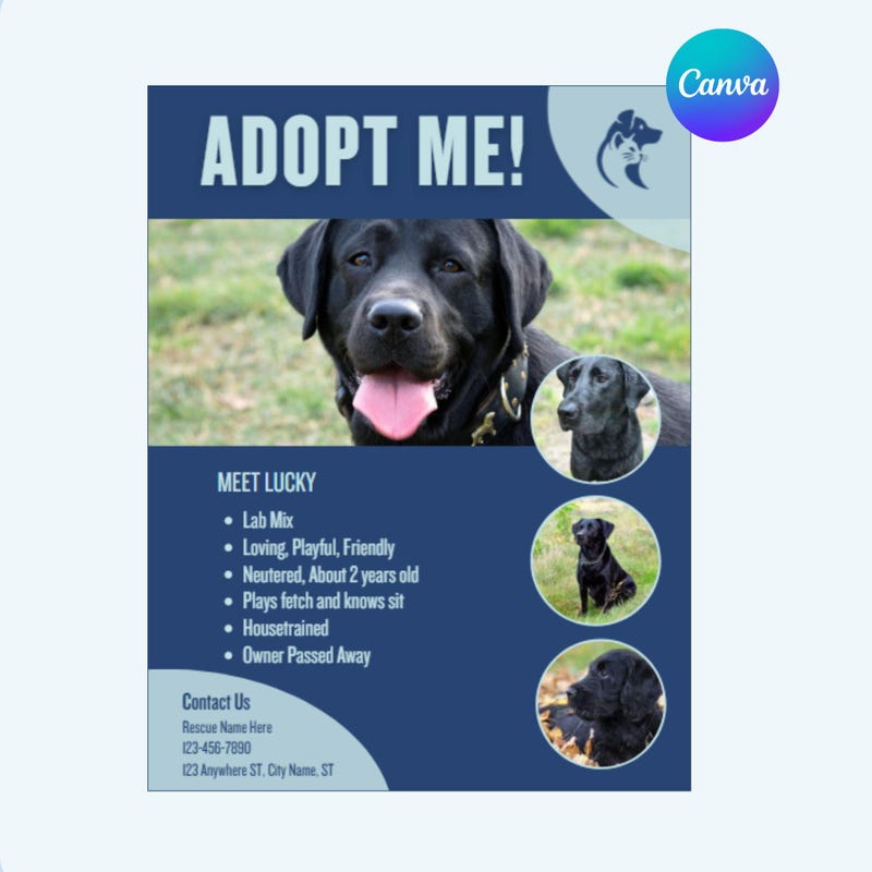 Dog Adoption Event Signs - Etsy