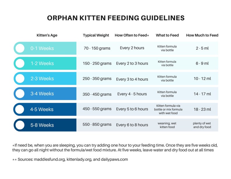 Foster Kitten Log/worksheet Packet, Foster Kitten Kit - XLSX, DOCX, PDF ...