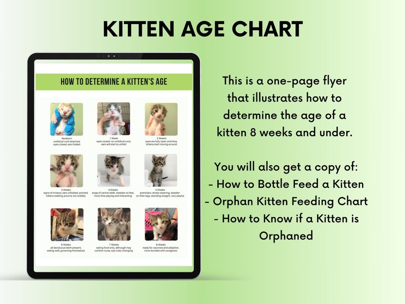 Kitten Age Chart (how to Determine the Age of a Kitten) PDF and JPG