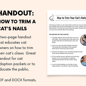 Como aparar as unhas de um gato, folheto para resgates de animais de estimação, sociedades humanas e abrigos, PDF, documento DOCX Word, download digital