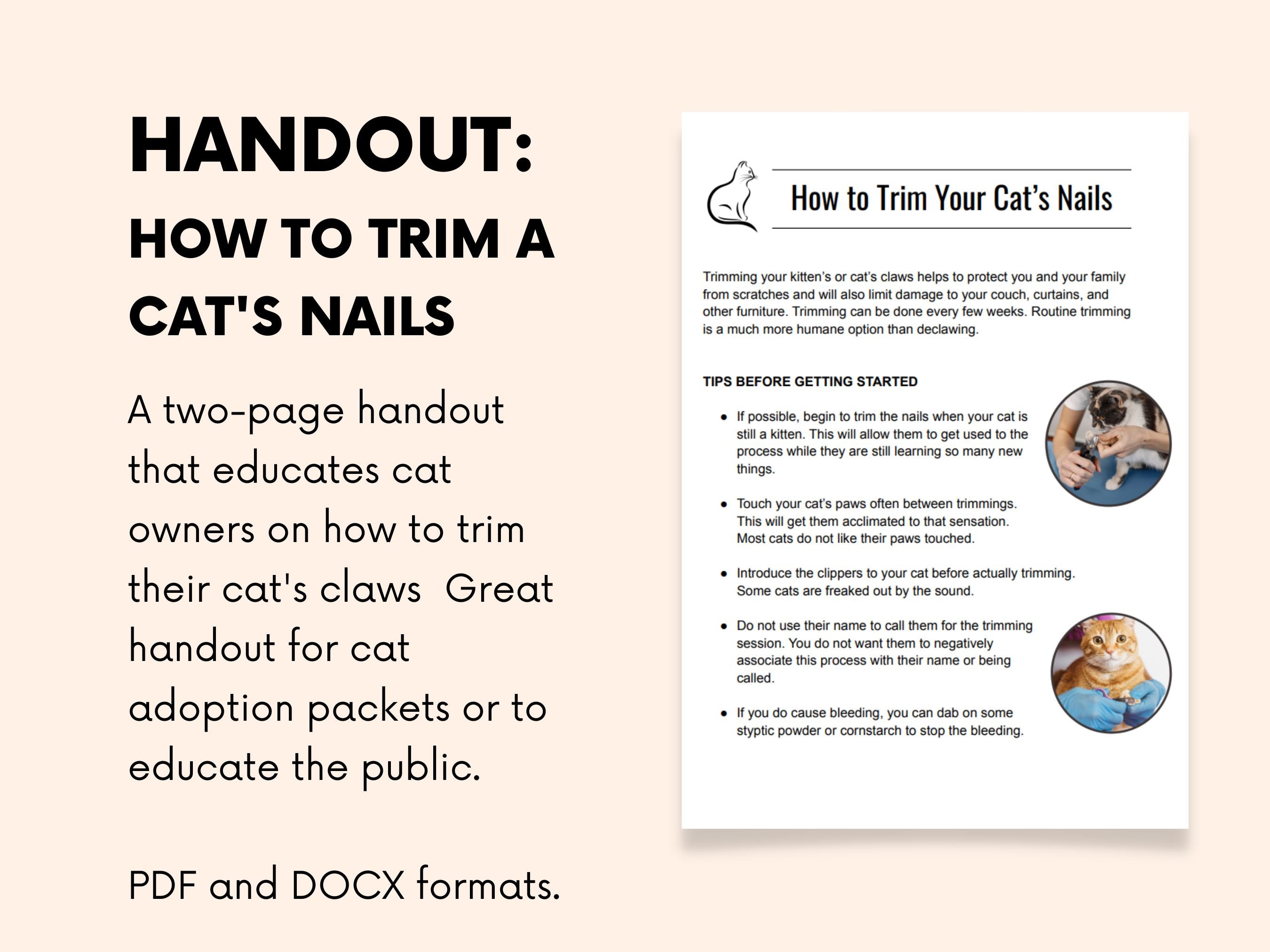 How to Trim a Cat's Nails, Handout for Pet Rescues, Humane Societies
