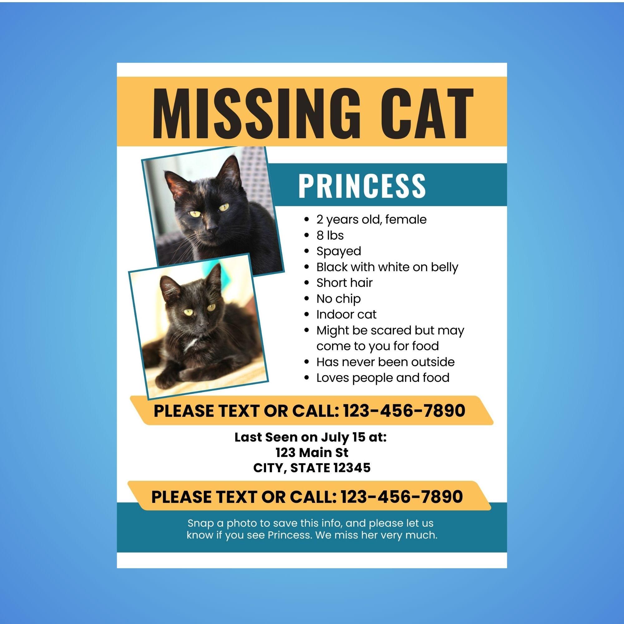 Lost Cat Poster