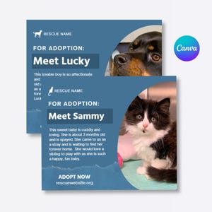 May include: Two blue square graphics promoting pet adoption. One features a Rottweiler dog and the text "Meet Lucky." The other shows a black and white kitten with the text "Meet Sammy." Both cards include rescue information.