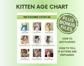 Kitten Age Chart (how to Determine the Age of a Kitten) PDF and