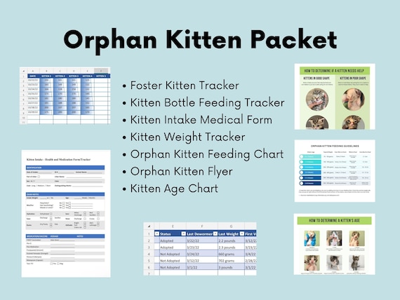 Kitten Bottle Feeding Chart Fillable And Print And Write