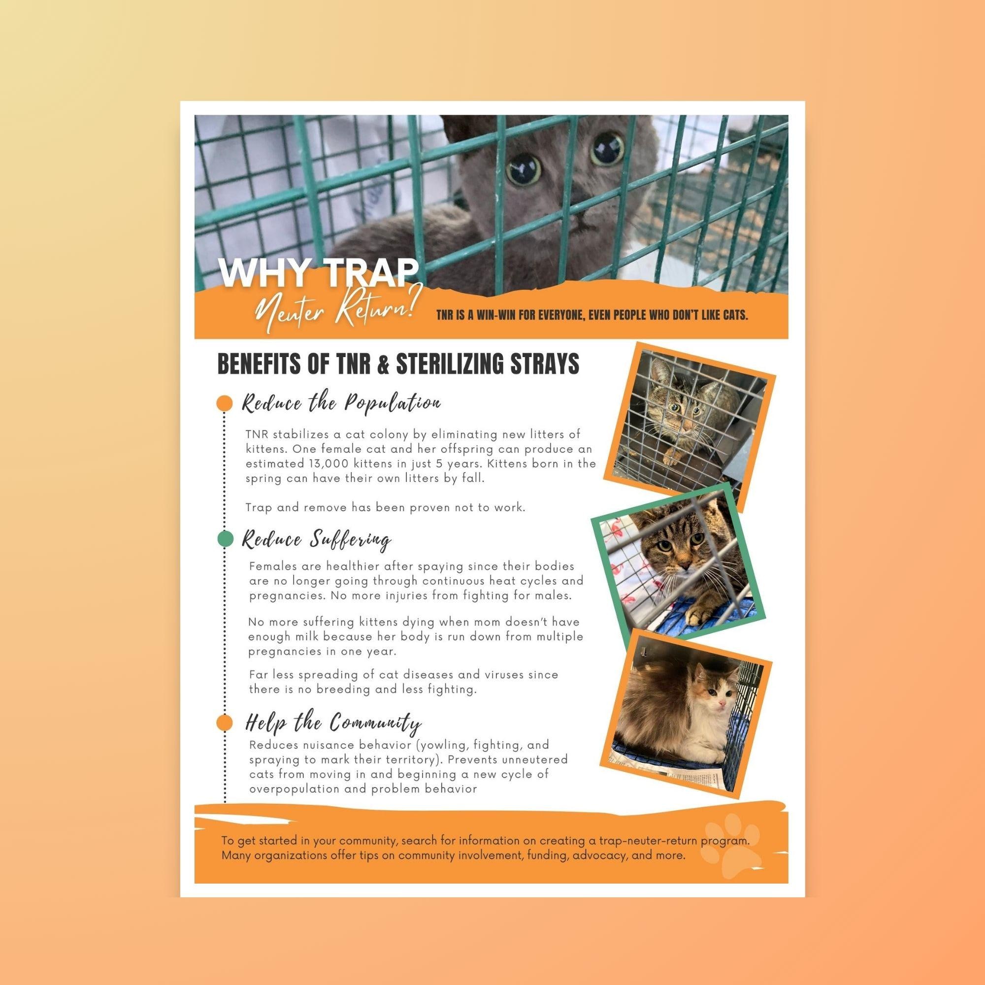 Tnr Format Guide Handout: Why TNR Flyer (trap-neuter-return) - PDF and JPG - Etsy
