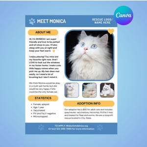 Dog and Cat Cage Adoption Flyer Template - CANVA Template, 8.5 x 11 in doc