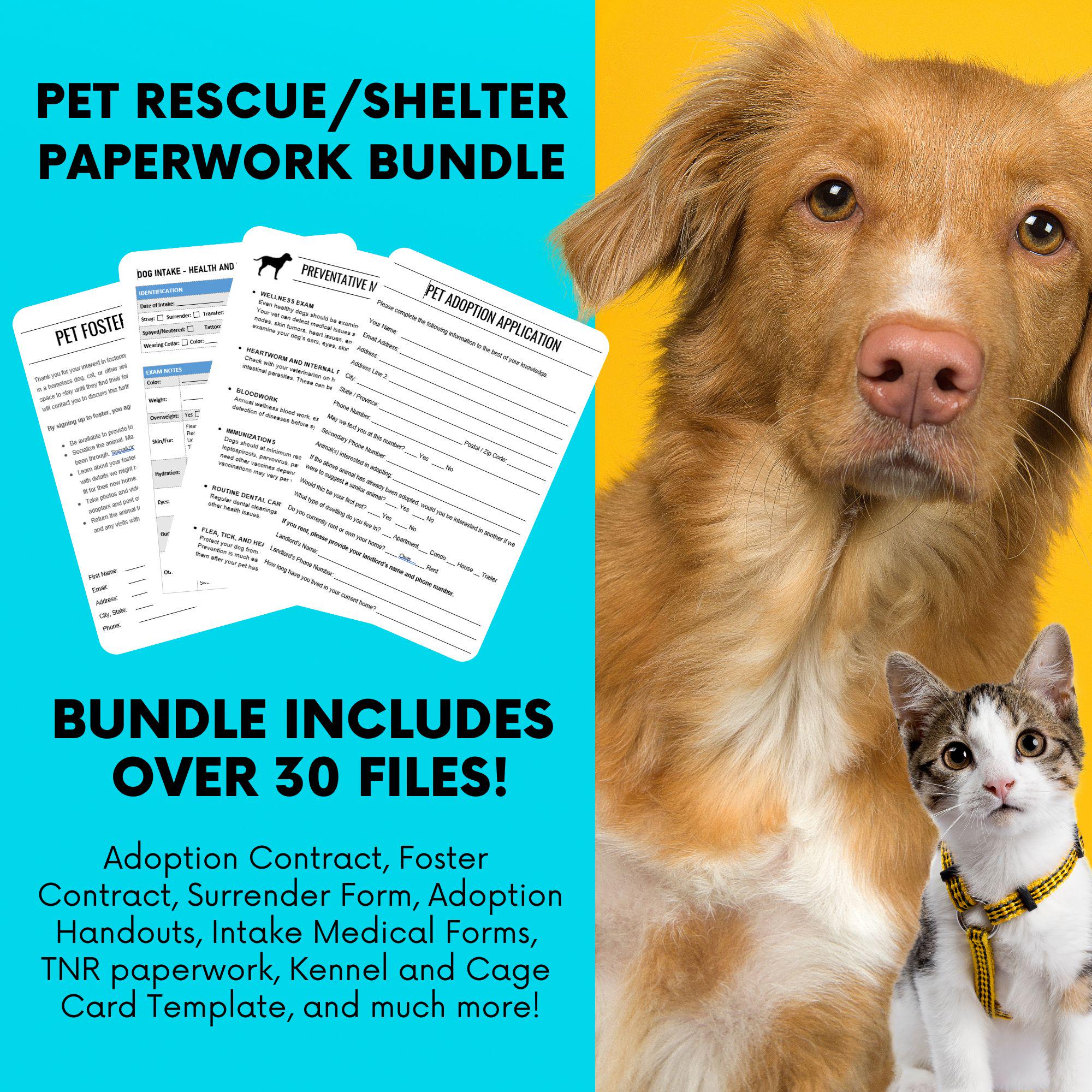 Application Form Foster To Adopt Dog Contract Pet Dog, Cat