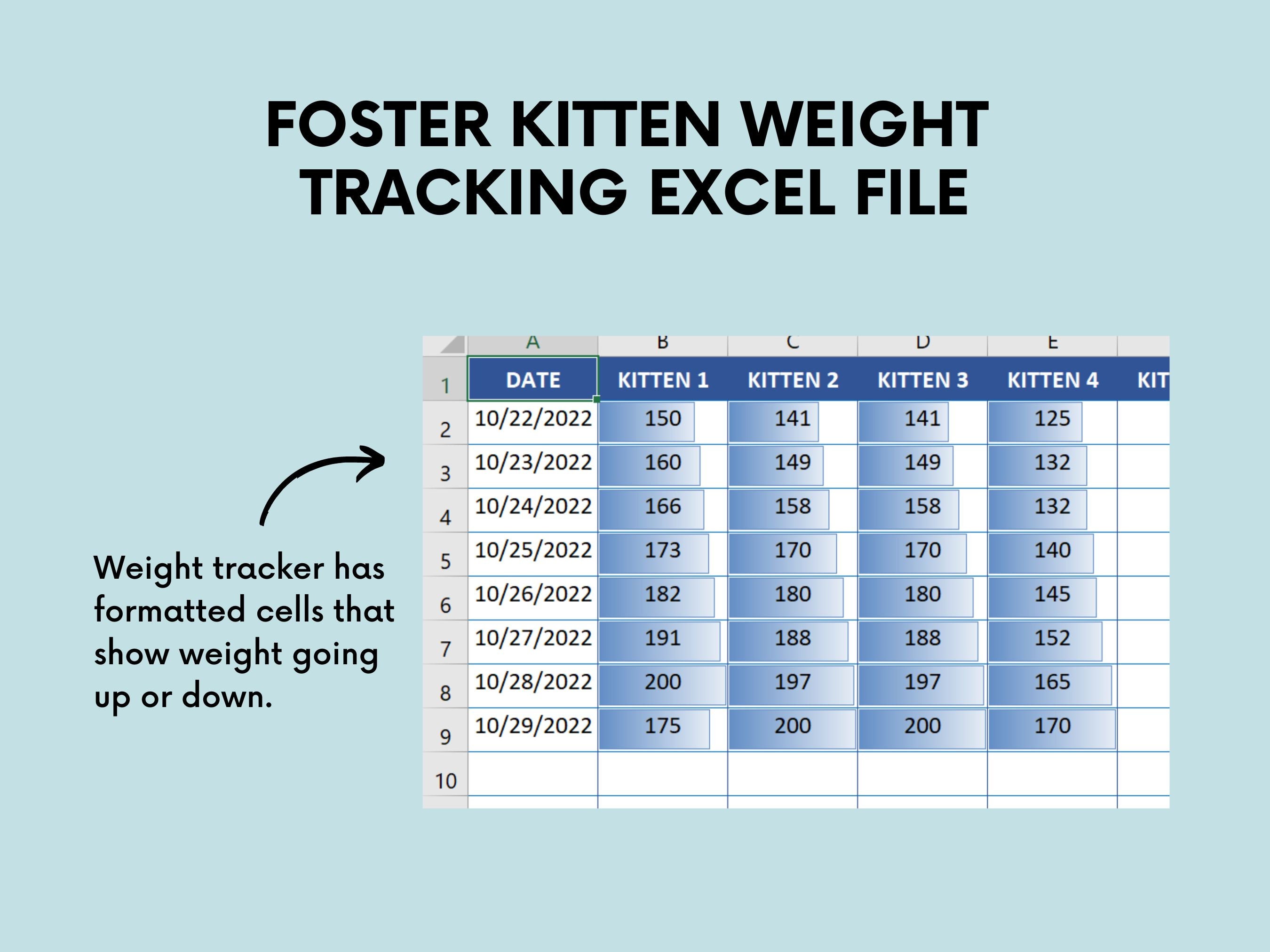 Foster Kitten Log/worksheet Packet, Foster Kitten Kit - XLSX, DOCX, PDF ...