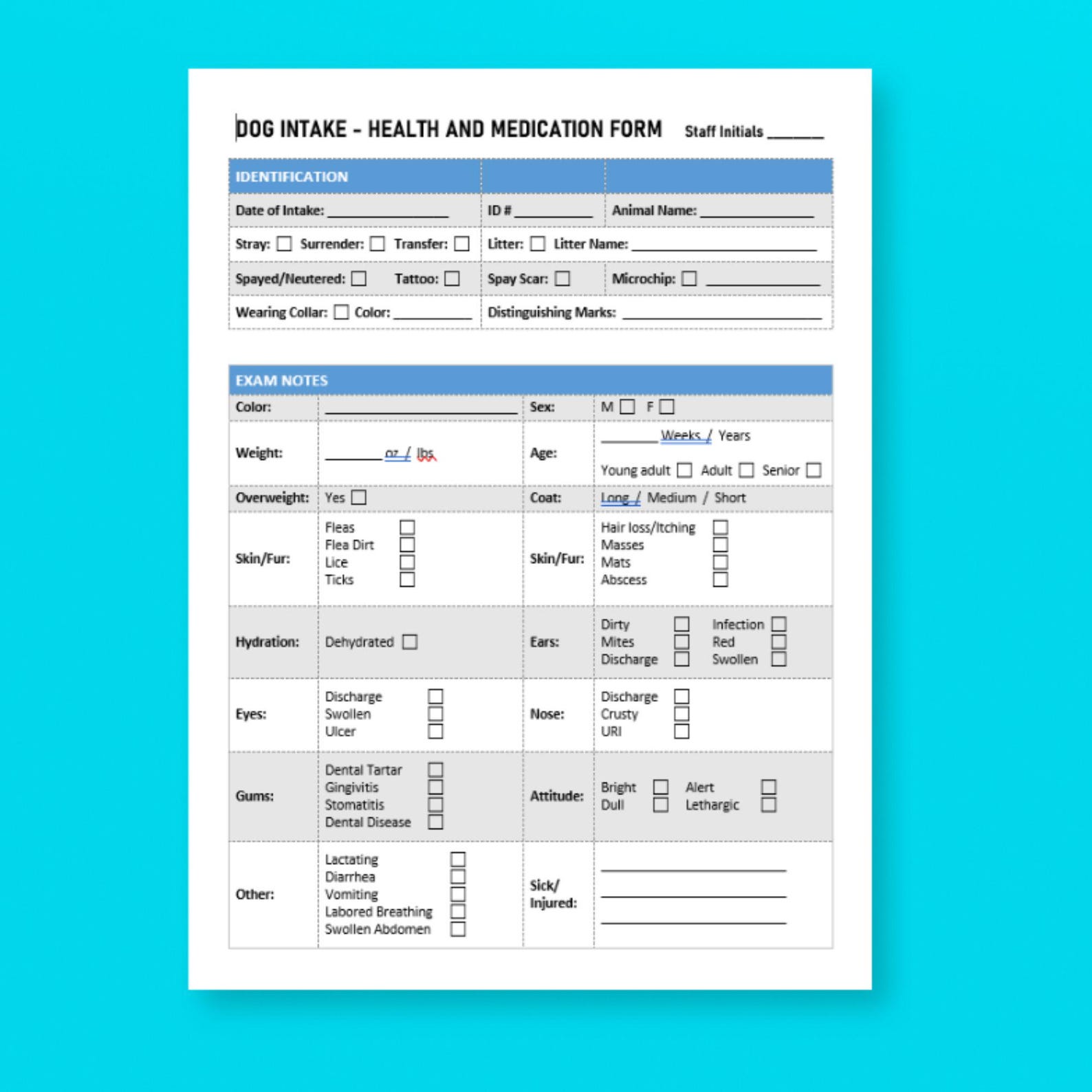 Digital Dog Cat Rescue Paperwork Bundle-adoption App, Contract ...
