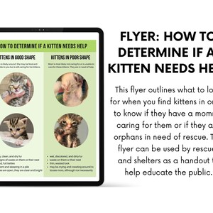 Foster Kitten Log/worksheet Packet, Foster Kitten Kit - XLSX, DOCX, PDF ...