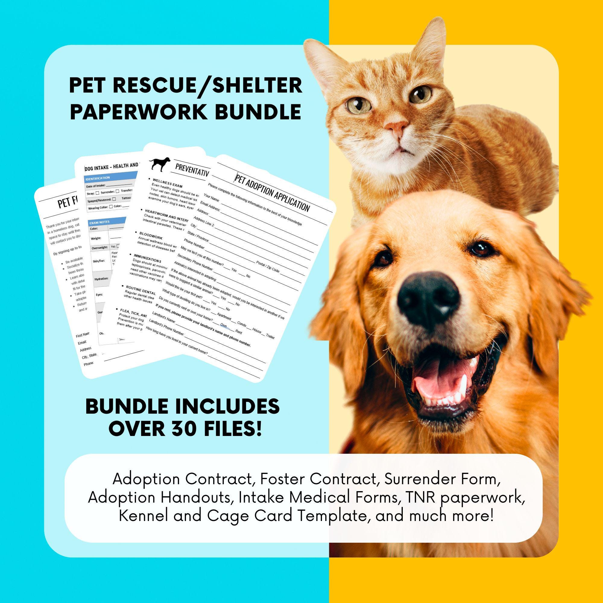 Buy Dog Adoption Rescue Online In India India