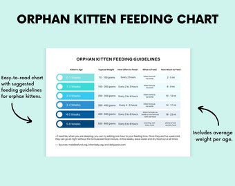 Baby kitten cheap feeding chart