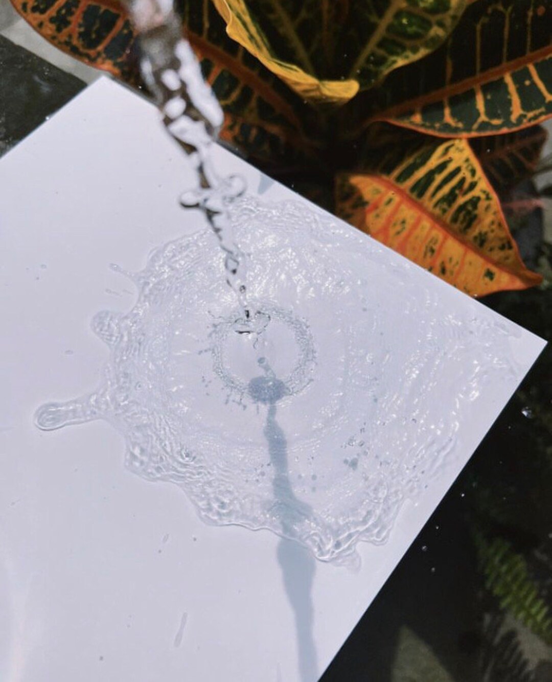 110 LB Waterproof Printing, White Synthetic Paper. Printing Service on