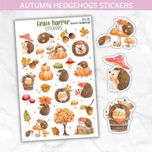 Autumn Hedgehogs Stickers - Fall Stickers - Autumn Stickers - Pumpkin Stickers - Planner Stickers DS-13
