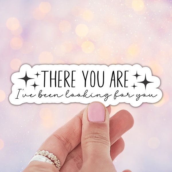There You Are I've Been Looking For You Sticker - ACOTAR Sticker - Rhysand Quote Sticker - Waterproof Premium Vinyl Stickers V83