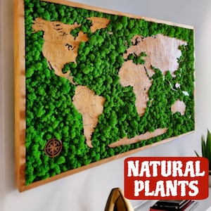 Art mural nature. Carte du monde. Carte de mousse. Ambiance chaleureuse. Mousse stabilisée. Art mural carte. Décoration de chambre nature. Art mural abstrait. Fait main.