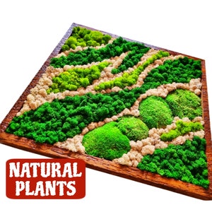 Nature wall art. Earth tone Biophilia. Greenwall. Cosy vibes. Preserved moss. Moss Wall Art. Nature Room Decor.  Modern wall. Handmade. Gift
