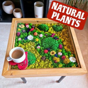Moss table. Moss art. Deco plants. Biophilic design. Handmade furniture. Interior design. Handmade art. Nature home design