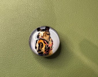 Personalised Photo Shoe Charm | Custom Clog Charm with Your Photo or Pet | Unique Gift | Custom Shoe Accessory