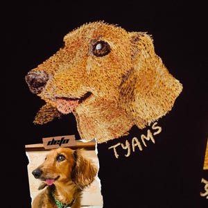 Puede incluir: Imagen bordada de un perro dachshund sobre un fondo de tela negro. El perro es marr&oacute;n y tiene la lengua fuera. El texto "TYAMS" est&aacute; bordado en hilo dorado debajo del perro. Un trozo de papel rasgado con una foto de un perro dachshund y el texto "defo" est&aacute; en la esquina inferior izquierda de la imagen.