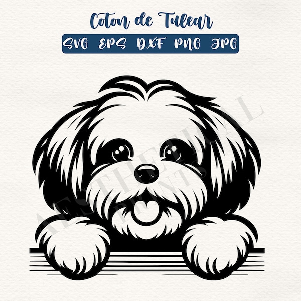 Coton de Tulear Svg, Eps, Png, Dxf and Jpg | 1