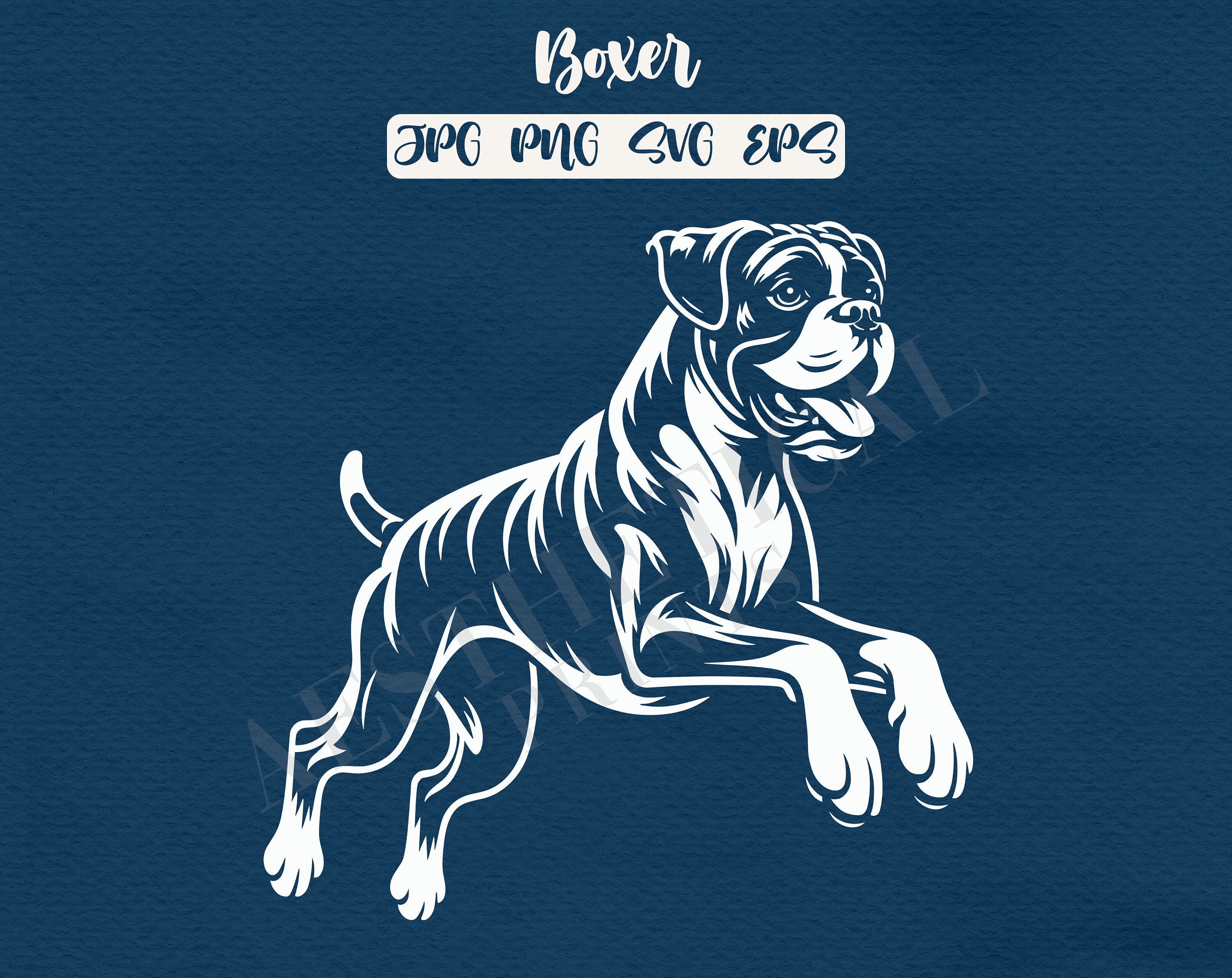 Boxer White Clip Art Svg, Eps, Png and Jpg - Etsy