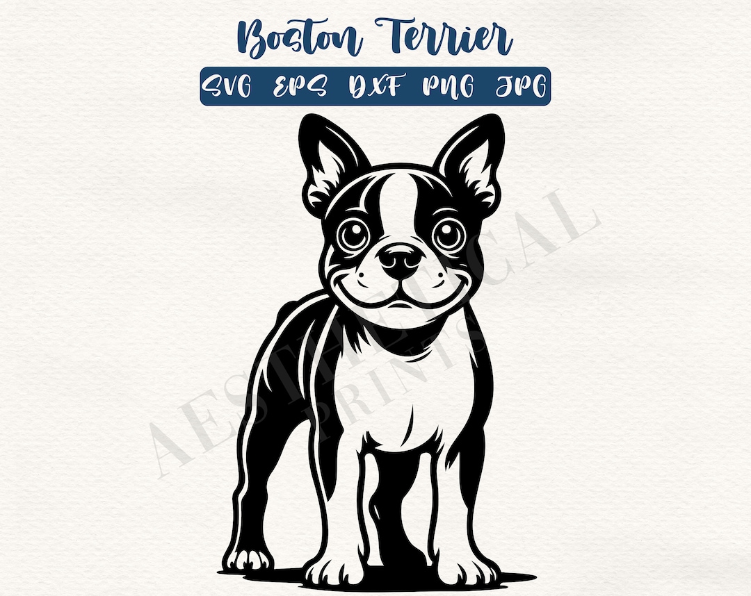 Boston Terrier Svg, Eps, Png, Dxf and Jpg 3 - Etsy