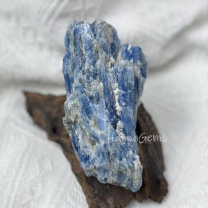Op de afbeelding: Een ruw blauw kyaniet kristal met een bladvormige, vezelige textuur en variërende tinten van diep tot lichtblauw, met witte minerale insluitingen. Het kristal staat rechtop op een donker, getextureerd stuk natuurlijk drijfhout.