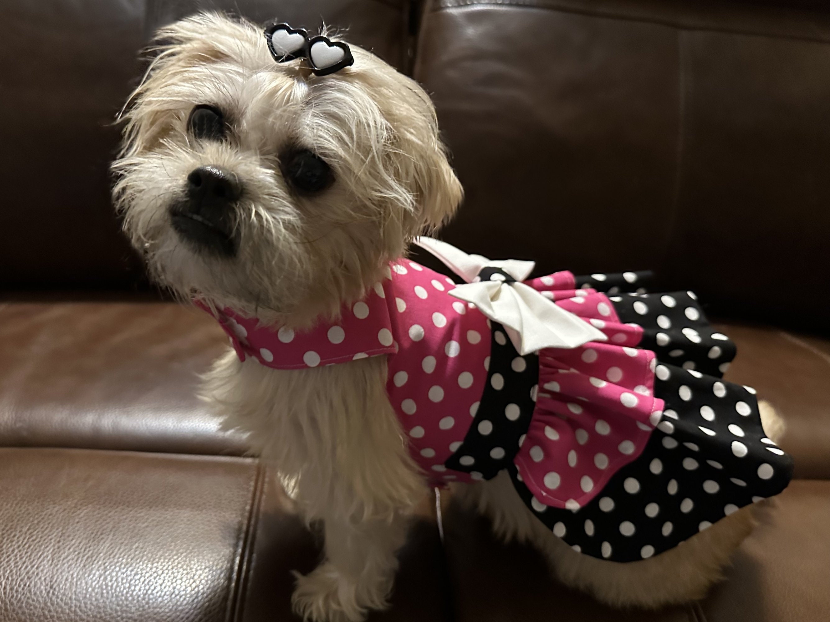 Dog Summer Dress Polka Dots Dog Dress Dog Harness Pet Clothing