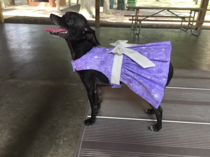 Purple Glitter and Glam Dog Dress Dog Harness Dress image 1