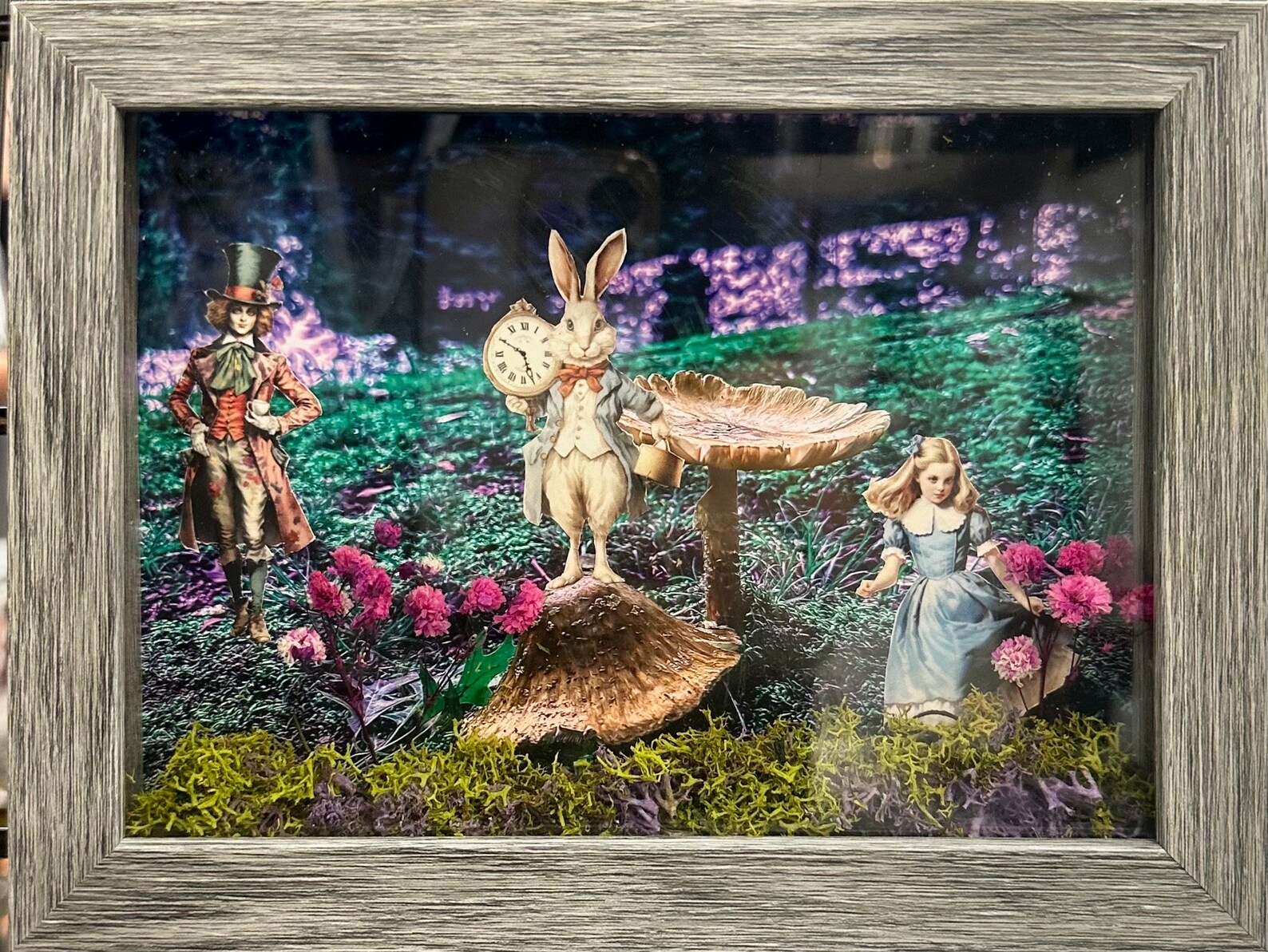 Alice in Wonderland Shadow Box Etsy
