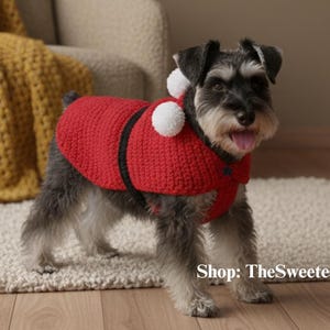 May include: A small, gray and black dog wearing a red crocheted sweater with black trim and white pom-poms. The dog is standing on a cream-colored rug in a room with a chair and a yellow blanket.