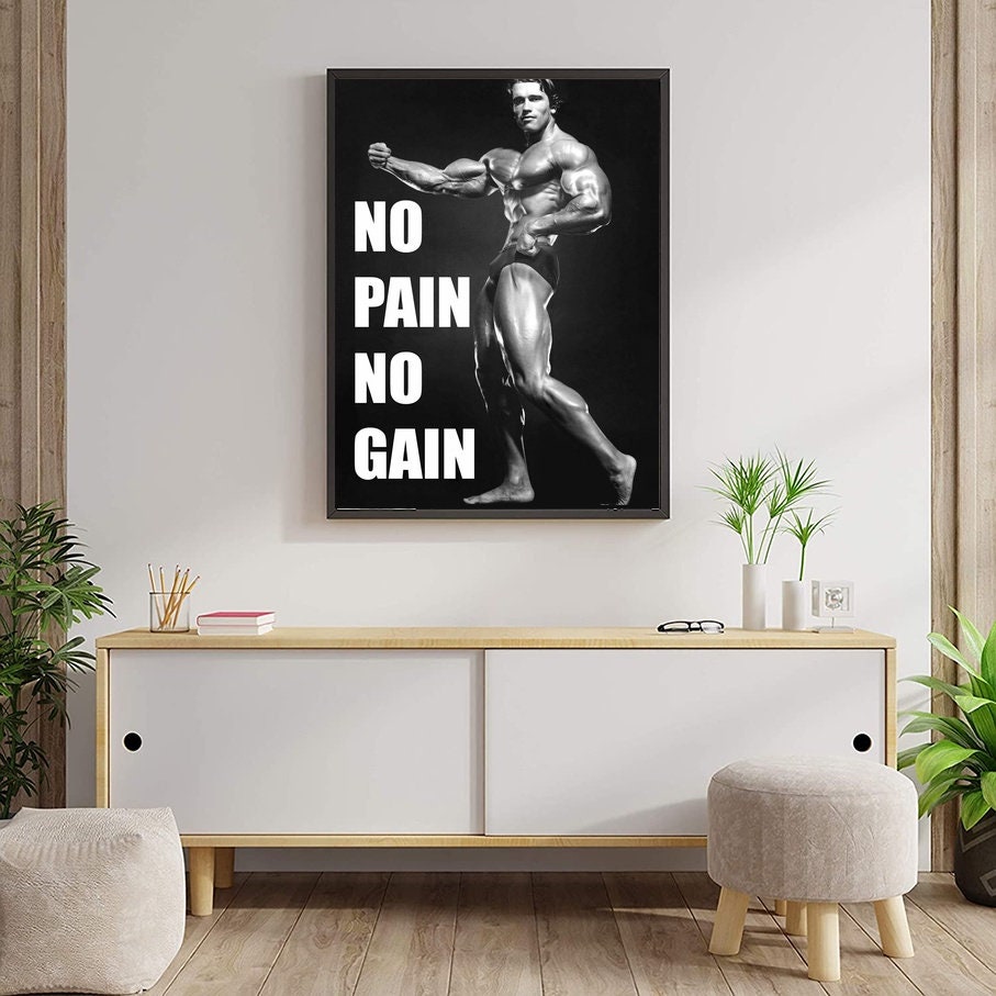 Arnold Schwarzenegger Bodybuilding Poster Canvas Wall Art Home Decor ...