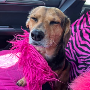 Peut inclure: Un chien brun et noir avec les yeux fermés est assis dans une voiture. Le chien porte une housse de siège en fourrure rose.