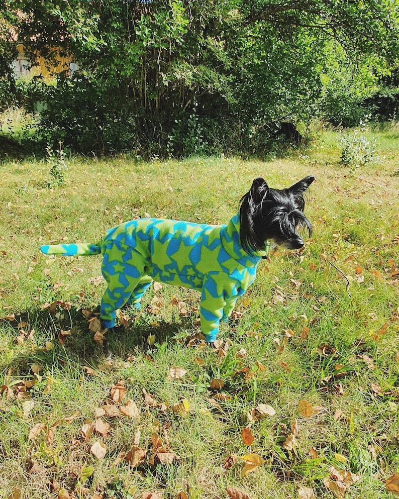 35cm/138inch Jodie Fleece Jumpsuit for Your Dog PDF Sewing Etsy