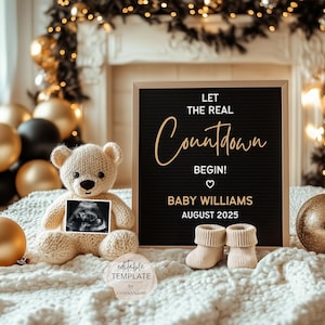 New Year Pregnancy Announcement: Editable Winter Social Media Template (Digital)