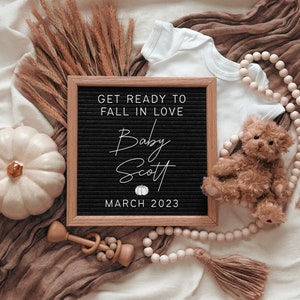 Fall Baby Announcement Digital, Autumn Digital Pregnancy Announcement For Social Media, Facebook, Instagram, Fall Pregnancy Reveal Digital